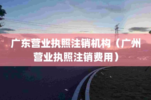 广东营业执照注销机构（广州营业执照注销费用）