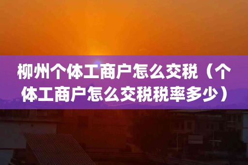 柳州个体工商户怎么交税（个体工商户怎么交税税率多少）