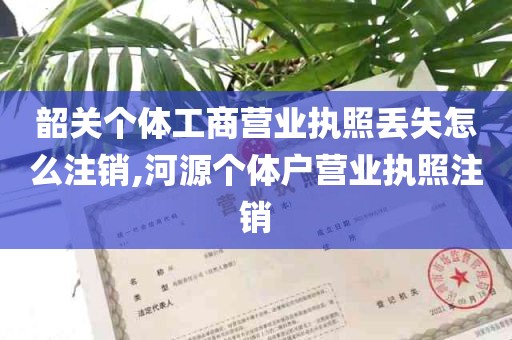 韶关个体工商营业执照丢失怎么注销,河源个体户营业执照注销