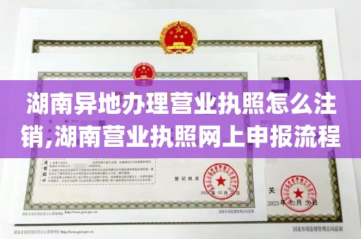 湖南异地办理营业执照怎么注销,湖南营业执照网上申报流程