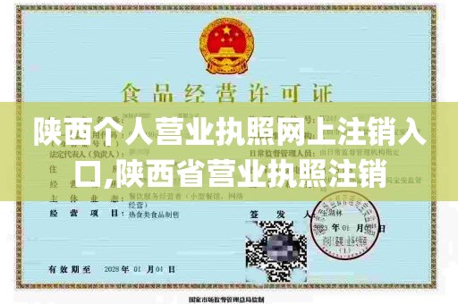 陕西个人营业执照网上注销入口,陕西省营业执照注销