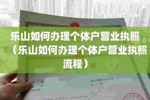 乐山如何办理个体户营业执照（乐山如何办理个体户营业执照流程）