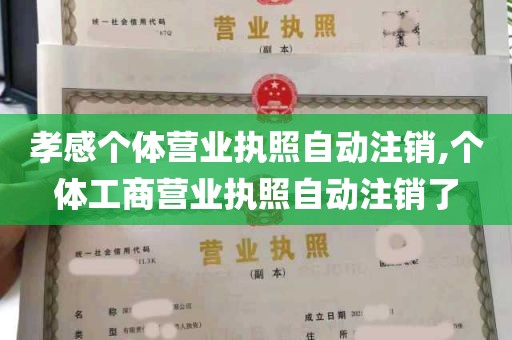 孝感个体营业执照自动注销,个体工商营业执照自动注销了