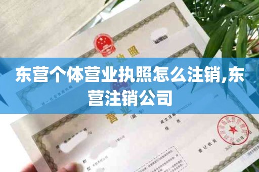 东营个体营业执照怎么注销,东营注销公司