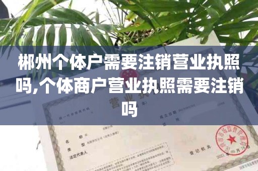 郴州个体户需要注销营业执照吗,个体商户营业执照需要注销吗