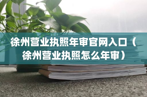 徐州营业执照年审官网入口（徐州营业执照怎么年审）