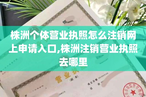 株洲个体营业执照怎么注销网上申请入口,株洲注销营业执照去哪里