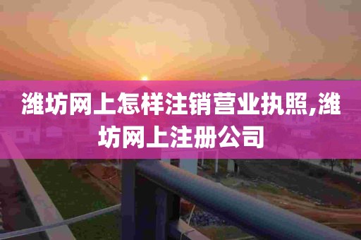 潍坊网上怎样注销营业执照,潍坊网上注册公司