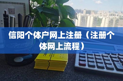 信阳个体户网上注册（注册个体网上流程）