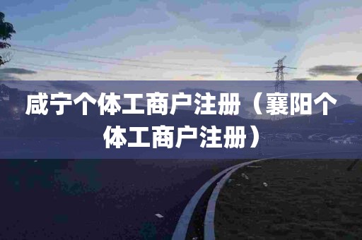 咸宁个体工商户注册（襄阳个体工商户注册）