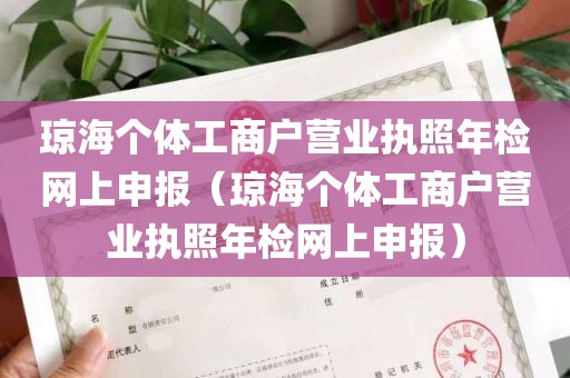 琼海个体工商户营业执照年检网上申报（琼海个体工商户营业执照年检网上申报）