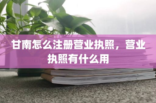 甘南怎么注册营业执照，营业执照有什么用