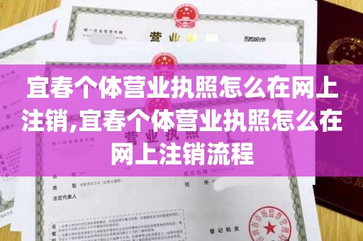 宜春个体营业执照怎么在网上注销,宜春个体营业执照怎么在网上注销流程