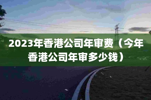 2023年香港公司年审费（今年香港公司年审多少钱）