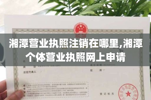 湘潭营业执照注销在哪里,湘潭个体营业执照网上申请