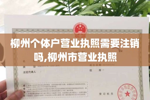 柳州个体户营业执照需要注销吗,柳州市营业执照