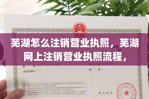 芜湖怎么注销营业执照，芜湖网上注销营业执照流程，