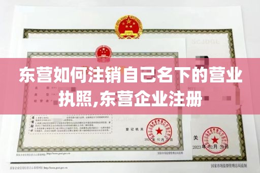 东营如何注销自己名下的营业执照,东营企业注册