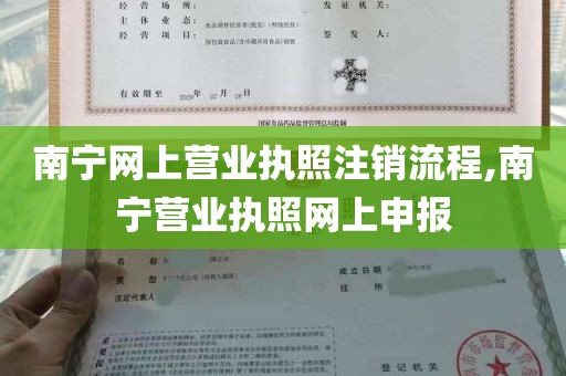 南宁网上营业执照注销流程,南宁营业执照网上申报