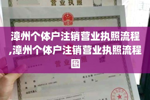 漳州个体户注销营业执照流程,漳州个体户注销营业执照流程图