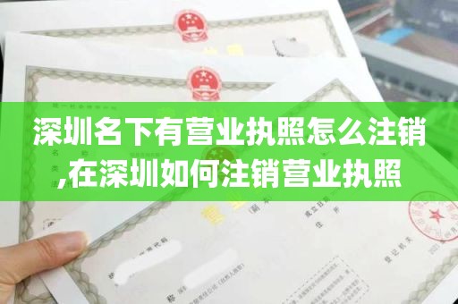 深圳名下有营业执照怎么注销,在深圳如何注销营业执照