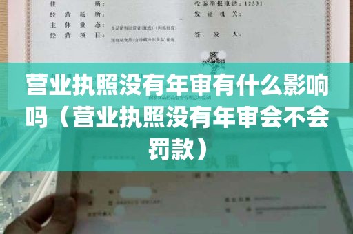 营业执照没有年审有什么影响吗（营业执照没有年审会不会罚款）