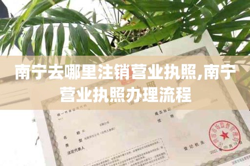 南宁去哪里注销营业执照,南宁营业执照办理流程