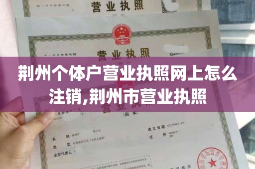 荆州个体户营业执照网上怎么注销,荆州市营业执照