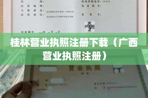 桂林营业执照注册下载（广西营业执照注册）