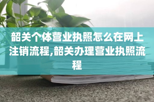 韶关个体营业执照怎么在网上注销流程,韶关办理营业执照流程