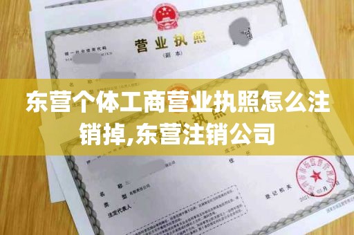 东营个体工商营业执照怎么注销掉,东营注销公司