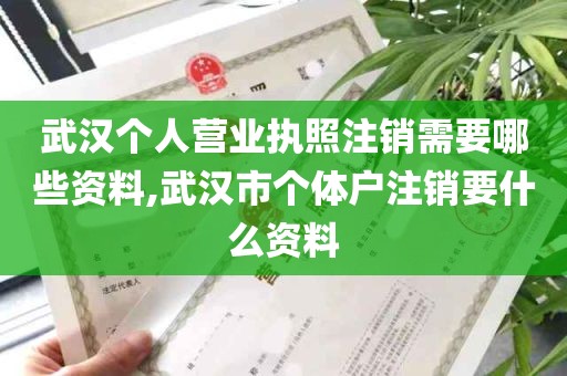 武汉个人营业执照注销需要哪些资料,武汉市个体户注销要什么资料