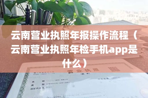 云南营业执照年报操作流程（云南营业执照年检手机app是什么）