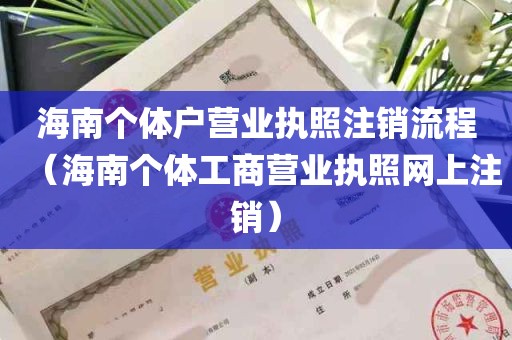 海南个体户营业执照注销流程（海南个体工商营业执照网上注销）