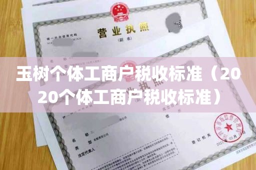 玉树个体工商户税收标准（2020个体工商户税收标准）