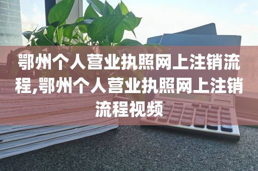 鄂州个人营业执照网上注销流程,鄂州个人营业执照网上注销流程视频