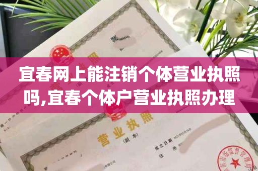 宜春网上能注销个体营业执照吗,宜春个体户营业执照办理