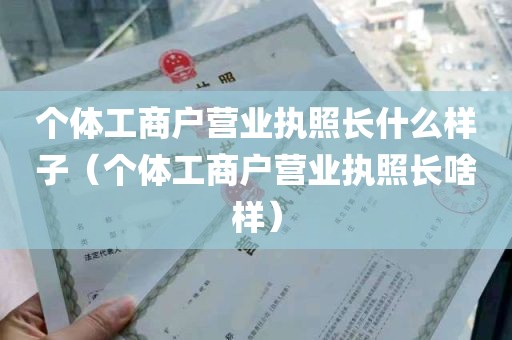 个体工商户营业执照长什么样子（个体工商户营业执照长啥样）