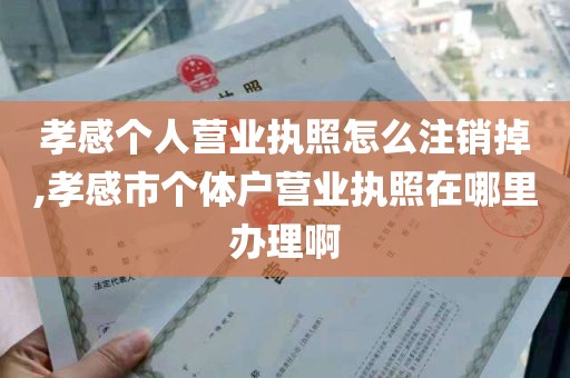 孝感个人营业执照怎么注销掉,孝感市个体户营业执照在哪里办理啊