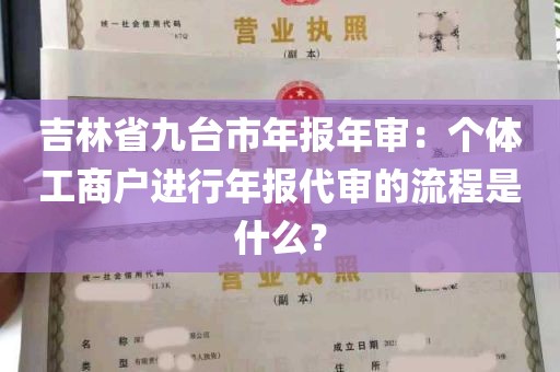 吉林省九台市年报年审：个体工商户进行年报代审的流程是什么？