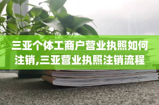 三亚个体工商户营业执照如何注销,三亚营业执照注销流程