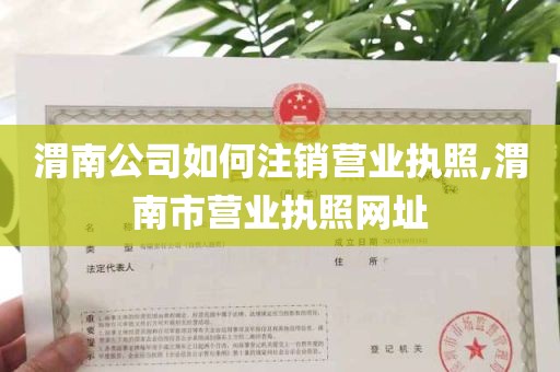 渭南公司如何注销营业执照,渭南市营业执照网址