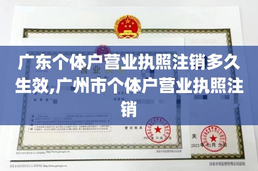 广东个体户营业执照注销多久生效,广州市个体户营业执照注销