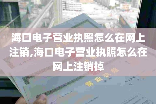 海口电子营业执照怎么在网上注销,海口电子营业执照怎么在网上注销掉