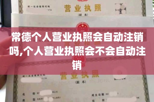 常德个人营业执照会自动注销吗,个人营业执照会不会自动注销