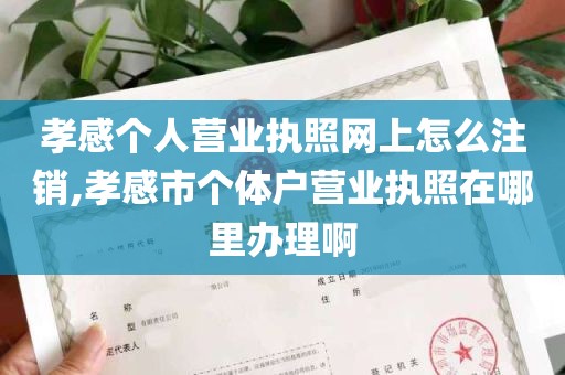 孝感个人营业执照网上怎么注销,孝感市个体户营业执照在哪里办理啊