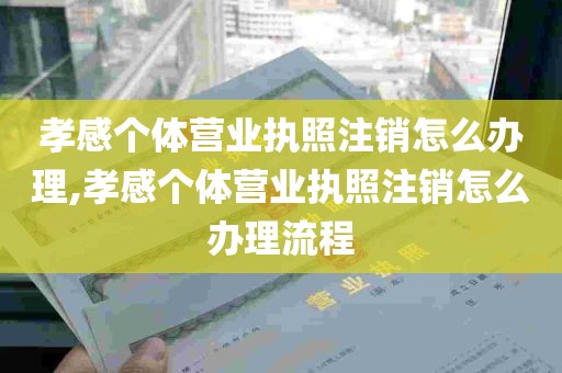 孝感个体营业执照注销怎么办理,孝感个体营业执照注销怎么办理流程