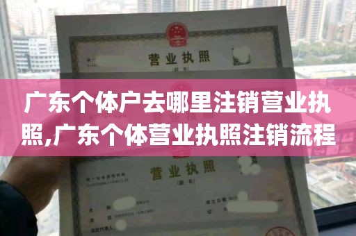 广东个体户去哪里注销营业执照,广东个体营业执照注销流程