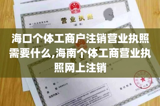 海口个体工商户注销营业执照需要什么,海南个体工商营业执照网上注销