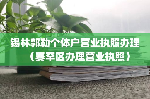 锡林郭勒个体户营业执照办理（赛罕区办理营业执照）